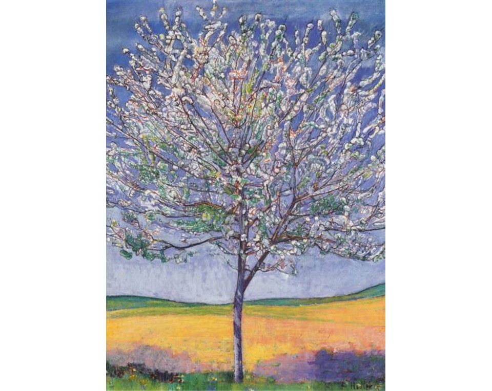 Φέρντιναντ Χόντλερ (Ferdinand Hodler) με τίτλο "Ανθισμένη Κερασιά" (Cherry Tree in Bloom).  Εκτύπωση έργο τέχνης σε κάμβα τελαρωμένο κάθετο 50Χ70εκ 