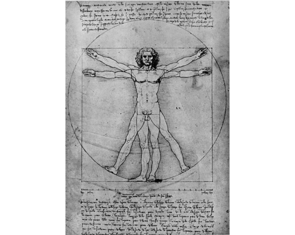 ΠΙΝΑΚΑΣ ΣΕ ΚΑΜΒΑ Leonardo da Vinci - Ο Άνθρωπος του Βιτρούβιου
