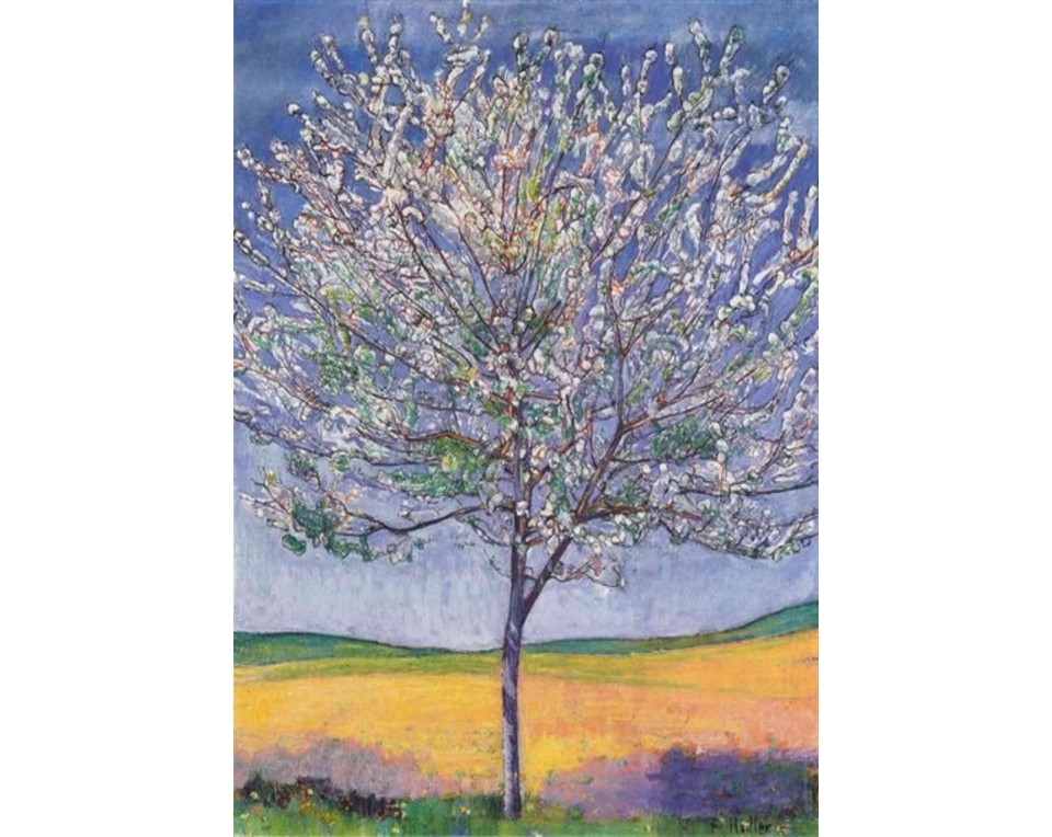 ΠΙΝΑΚΑΣ ΣΕ ΚΑΜΒΑ Ferdinand Hodler - Ανθισμένη Κερασιά