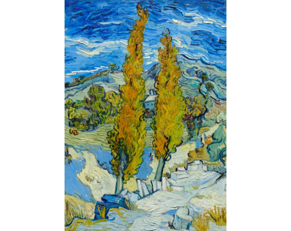 ΠΙΝΑΚΑΣ ΣΕ ΚΑΜΒΑ Vincent van Gogh - Δύο Λεύκες σε ένα Μονοπάτι στους Λόφους