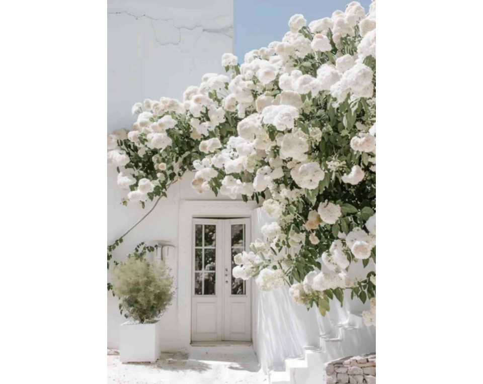 ΠΙΝΑΚΑΣ ΣΕ ΚΑΜΒΑ Ζωγραφικό Τοπίο