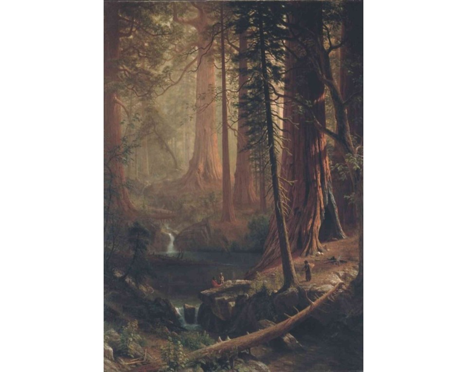 ΠΙΝΑΚΑΣ ΣΕ ΚΑΜΒΑ Albert Bierstadt - Γιγάντιες Σεκόγιες της Καλιφόρνιας