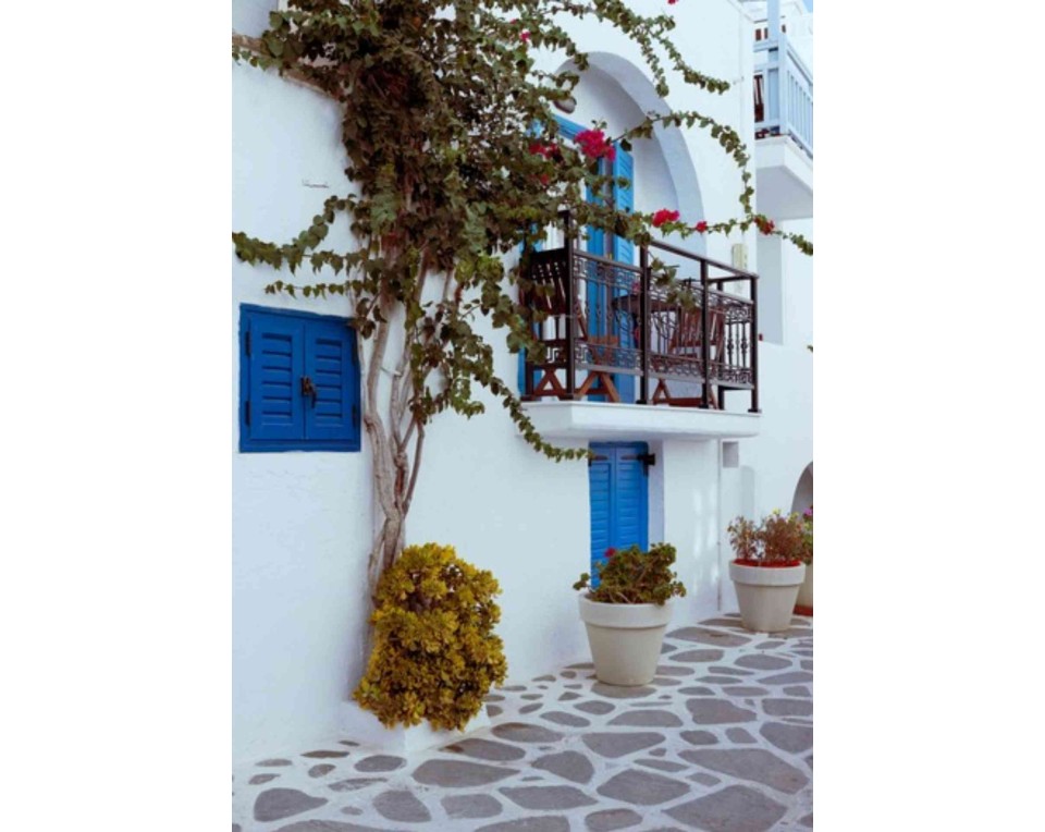 ΠΙΝΑΚΑΣ ΣΕ ΚΑΜΒΑ Μπλε Παράθυρο και Βουκαμβίλια