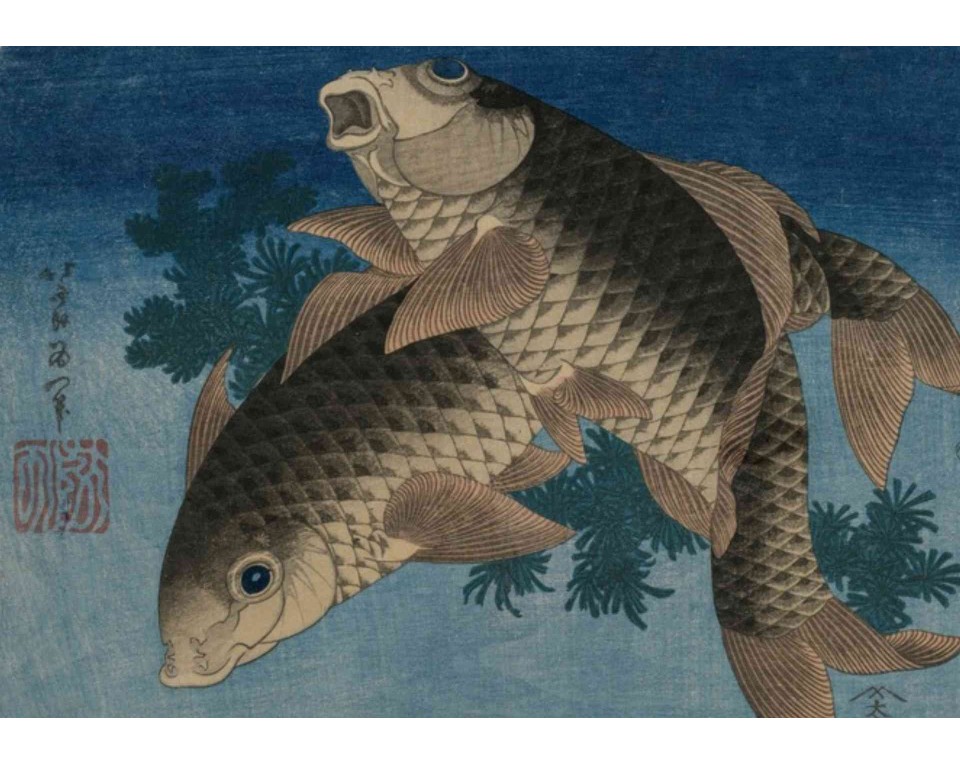 ΠΙΝΑΚΑΣ ΣΕ ΚΑΜΒΑ Katsushika Hokusai - Κυπρίνοι που Κολυμπούν ανάμεσα σε Υδρόβια Φυτά