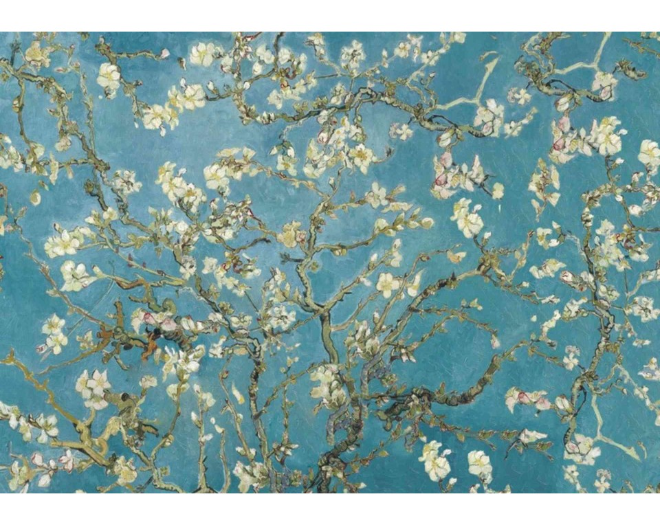 ΠΙΝΑΚΑΣ ΣΕ ΚΑΜΒΑ Vincent van Gogh - Άνθη Αμυγδαλιάς
