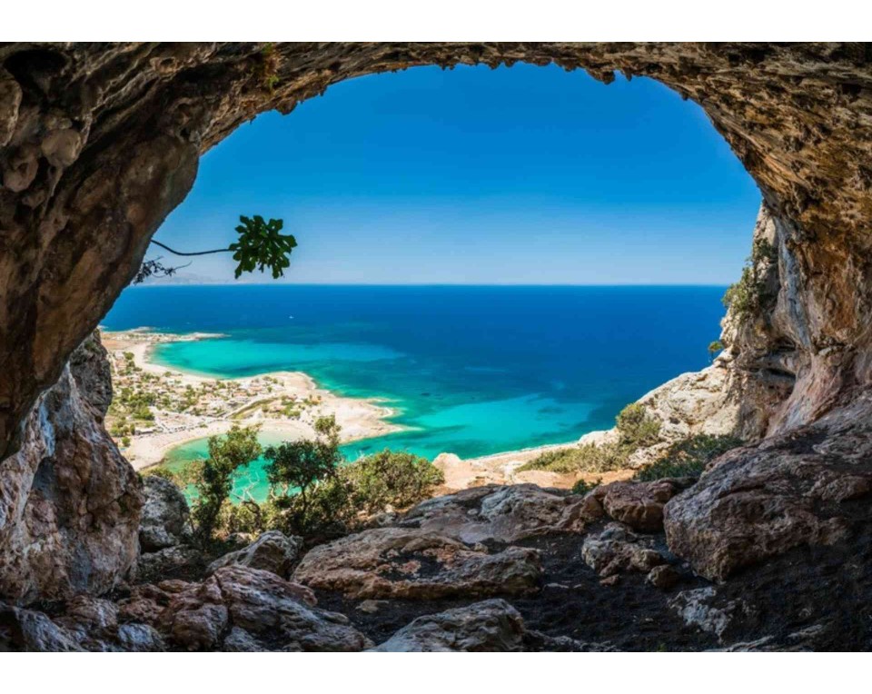 ΠΙΝΑΚΑΣ ΣΕ ΚΑΜΒΑ Δέντρο σε Ανοιχτό Τοπίο