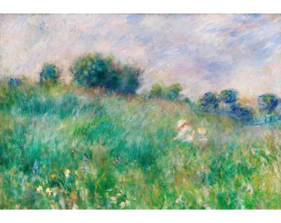 ΠΙΝΑΚΑΣ ΣΕ ΚΑΜΒΑ Pierre-Auguste Renoir - Λιβάδι
