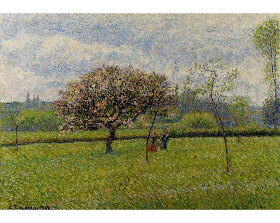 ΠΙΝΑΚΑΣ ΣΕ ΚΑΜΒΑ Camille Pissarro - Ανθισμένες Μηλιές στο Ερανί
