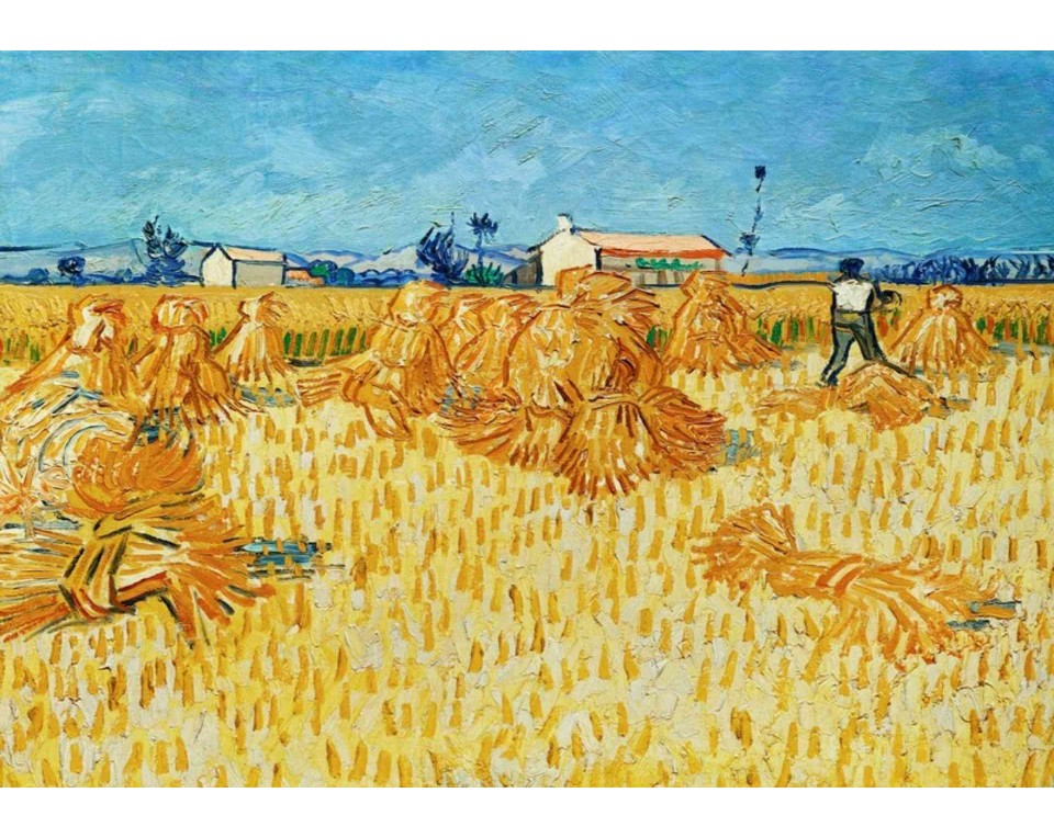 ΠΙΝΑΚΑΣ ΣΕ ΚΑΜΒΑ Vincent van Gogh - Συγκομιδή στην Προβηγκία