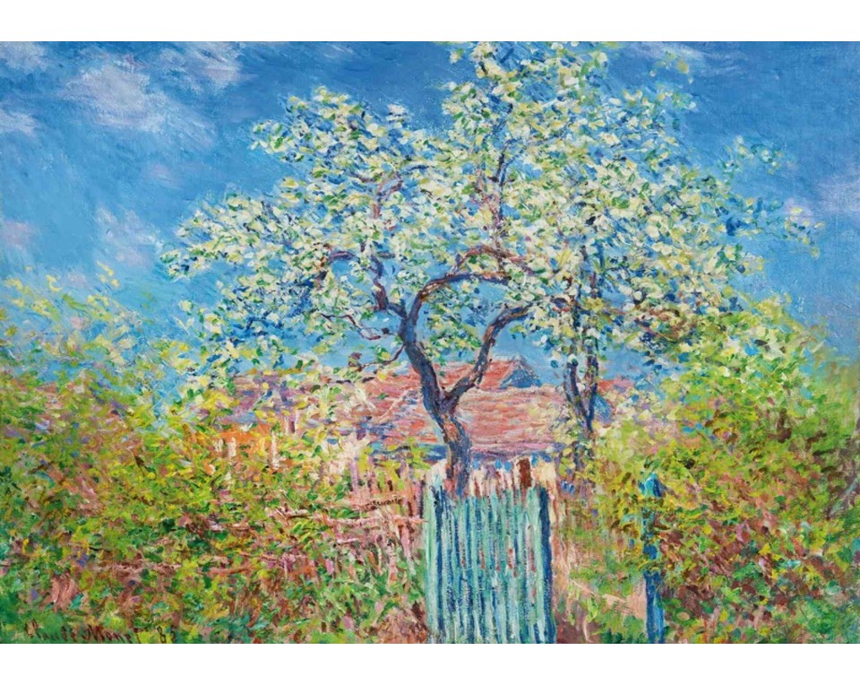 ΠΙΝΑΚΑΣ ΣΕ ΚΑΜΒΑ Claude Monet - Ανθισμένη Αχλαδιά
