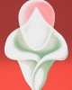 Abstract Tulip του Clarence Holbrook Carter Εκτύπωση έργο τέχνης σε κάμβα τελαρωμένο κάθετο 40Χ60εκ 