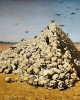 "Η Αποθέωση του Πολέμου" (The Apotheosis of War) του καλλιτέχνη Βασίλι Βερεσάγκιν (Vasily Vereshchagin). Εκτύπωση έργο τέχνης σε κάμβα τελαρωμένο οριζόντιο 40Χ60εκ 