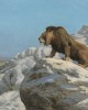 Ζαν-Λεόν Ζερόμ (Jean-Léon Gérôme) με τίτλο "Λιοντάρι σε Παρακολούθηση" ή "Lion on the Watch".  Εκτύπωση έργο τέχνης σε κάμβα τελαρωμένο οριζόντιο 40Χ60εκ 